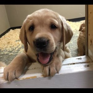 Meet your Posher, Gina